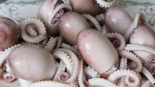 网红八爪鱼吃瓜爆料是真的吗,真相揭秘 第3张 网红八爪鱼吃瓜爆料是真的吗,真相揭秘 第3张